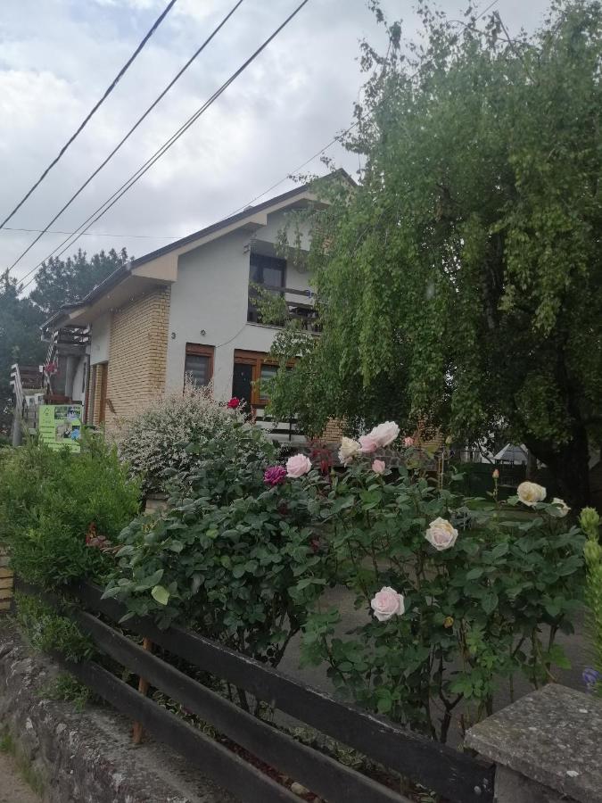 Apartmani Breza - Ferienwohnung Vrdnik