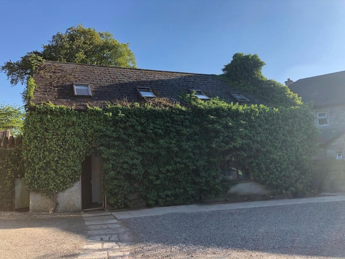 Temple Loft Studio - Bed and Breakfast
