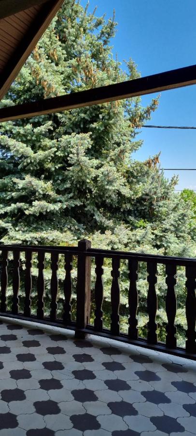 Tisza-Tavi Isteni Vendégház - B&B