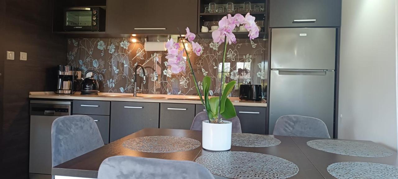 Diament Rogowo - B&B