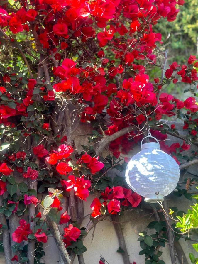 Blue Dream - Amalfi Coast - B&B