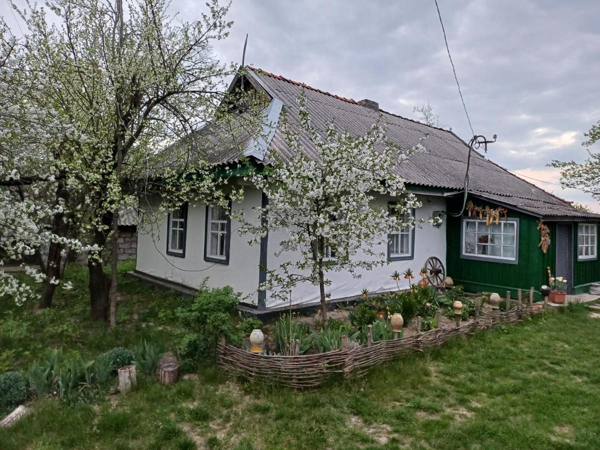 Медова садиба - Bed and Breakfast