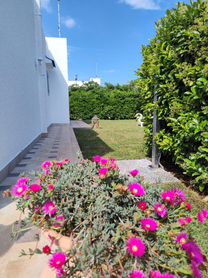 Endless Summer - B&B
