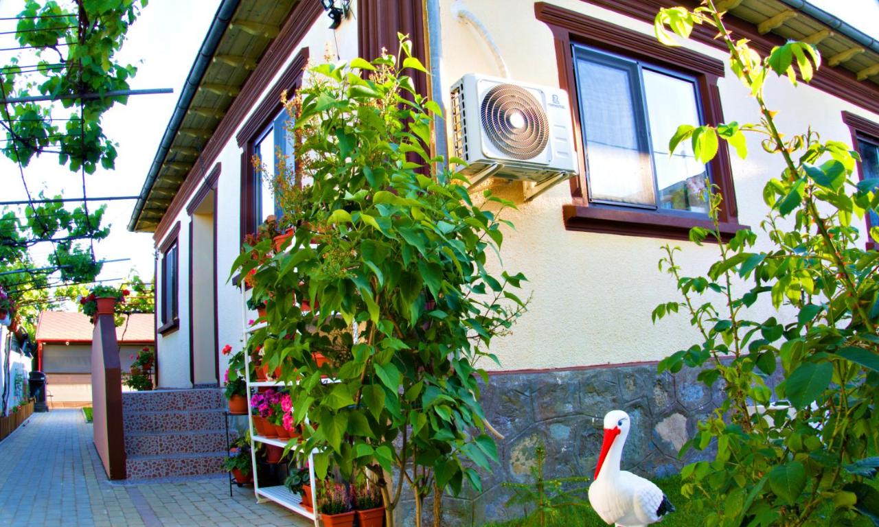 CĂSUȚA LUI ION - B&B