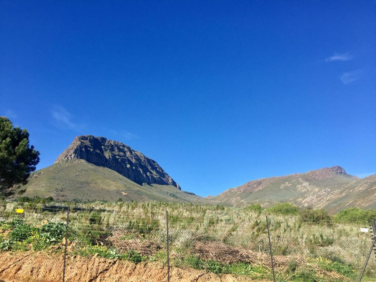 Sneeukop Mountain Cottage - Bed and Breakfast Paarl