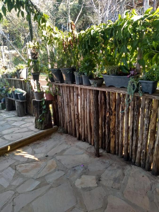 Suite - Vue sur Jardin