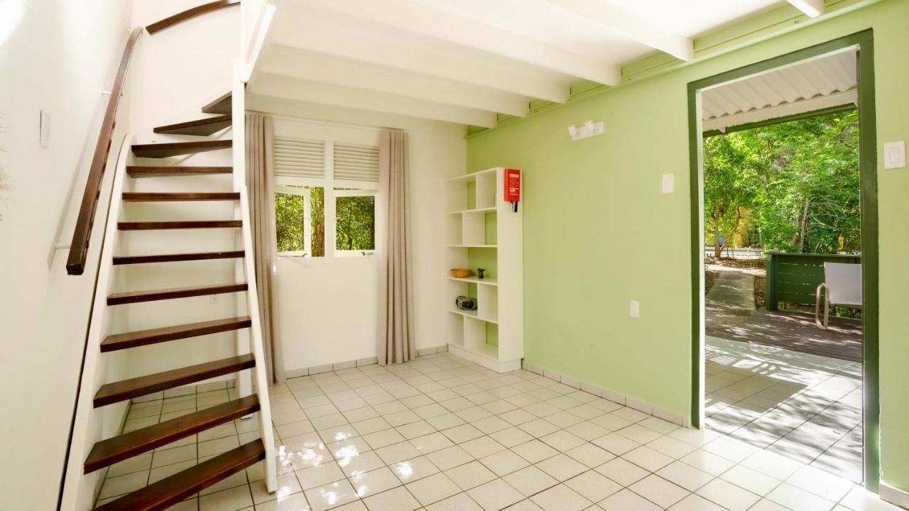 Dream of the Green Flamingo - B&B Dorp Sint Willebrordus