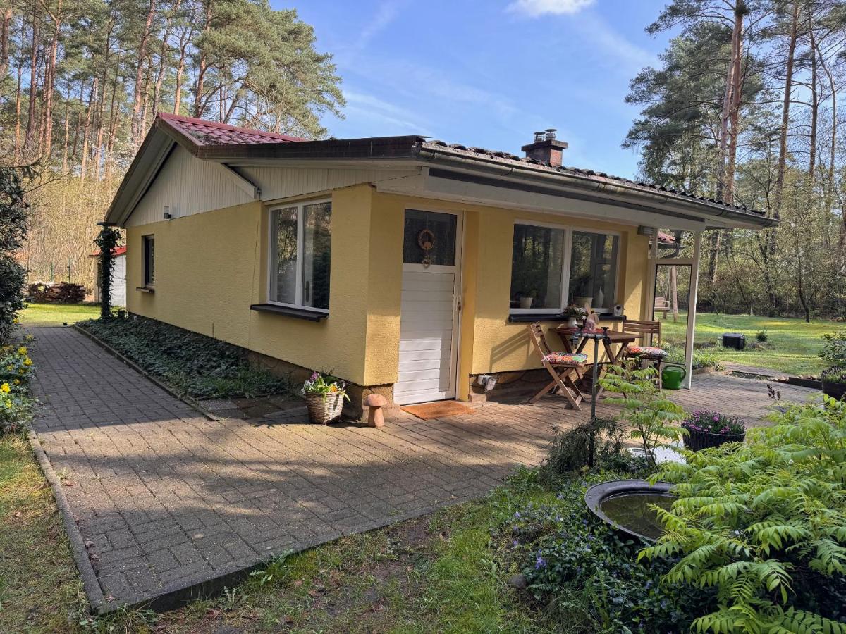 Ferienhaus im Wald - B&B
