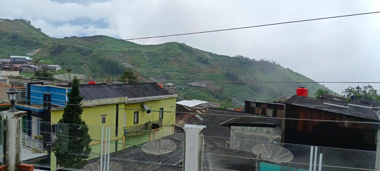 Teras Senja Sikunir Homestay - B&B Kejajar