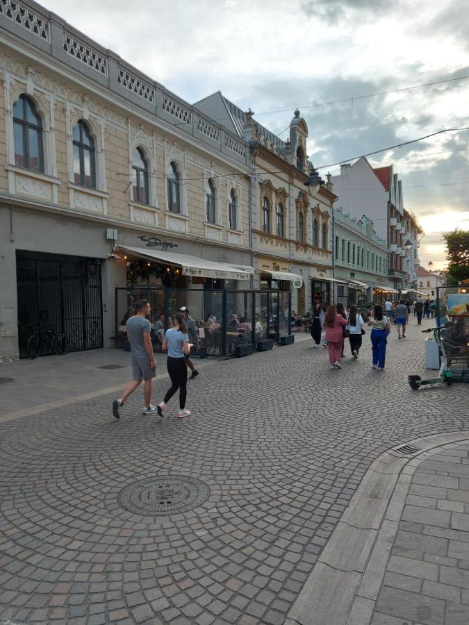Darris Apartament Ultracentral - B&B