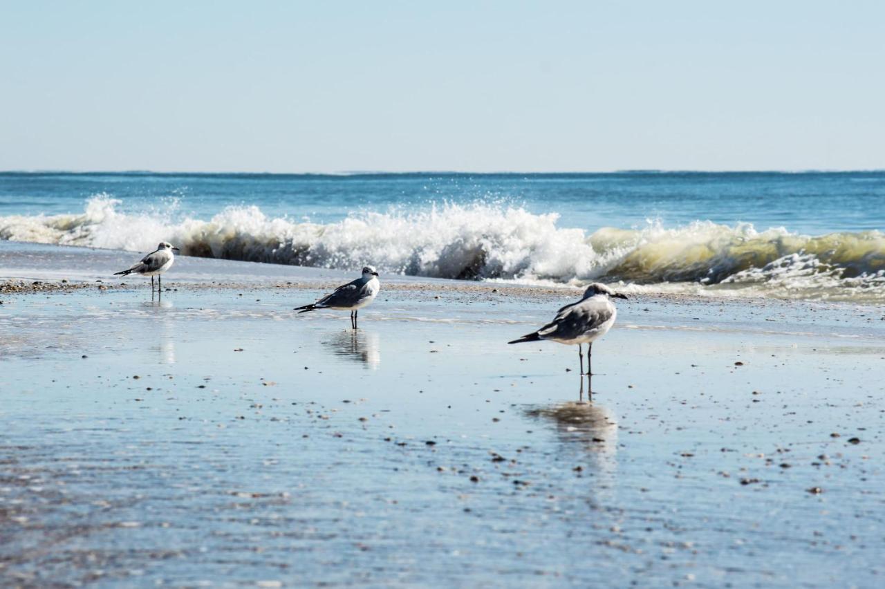 Direct Gulf Views with Deeded Beach Access (#17) - Sleeps 7 - B&B