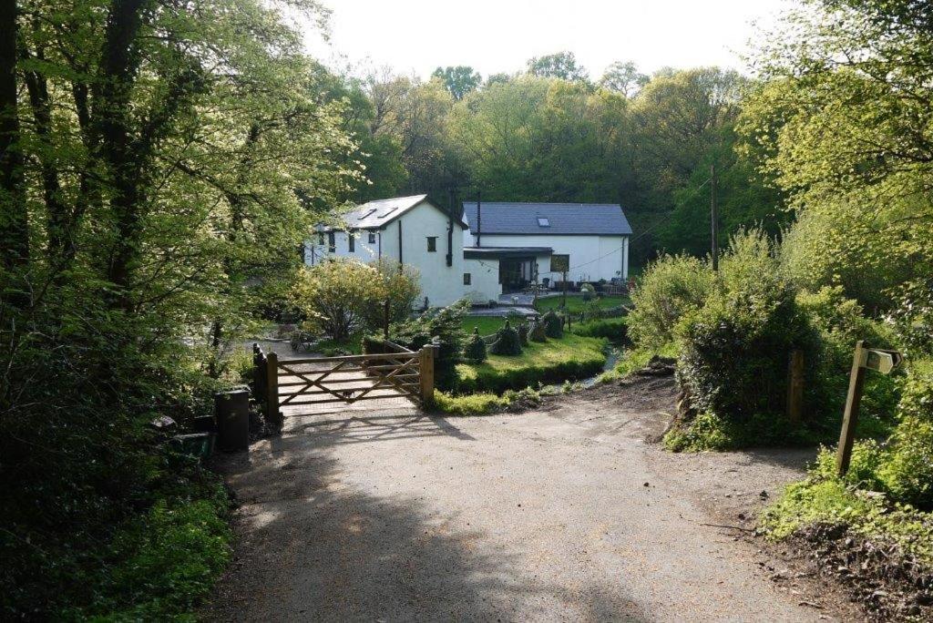 B&B Honiton - The Annexe at Riverside Cottage - Bed and Breakfast Honiton