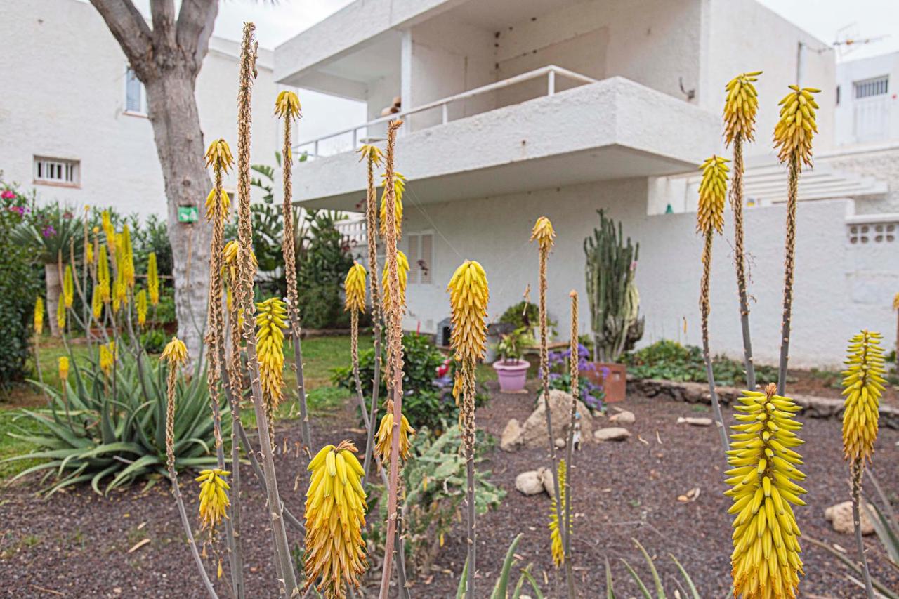 Eureka Tenerife - Chambres d’hôtes