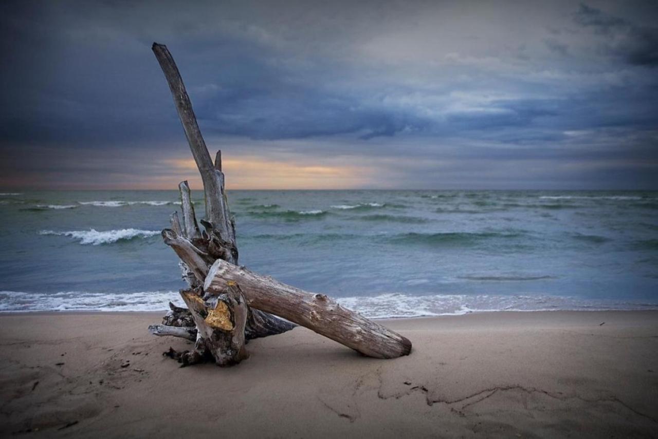 Lake Huron - 1 Bedroom, 1 Bath Lake Front Cabin (Sleeps 4) - B&B