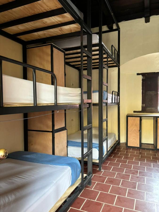 Bunk Bed in Mixed Dormitory Room