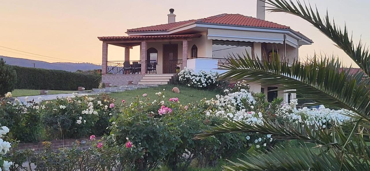 Villa Harry's - B&B