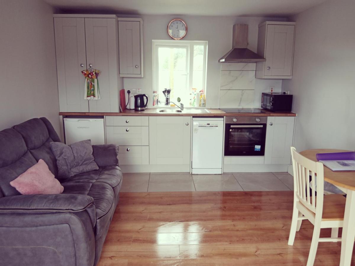 Swan Studio Haven - B&B Lisdoonvarna