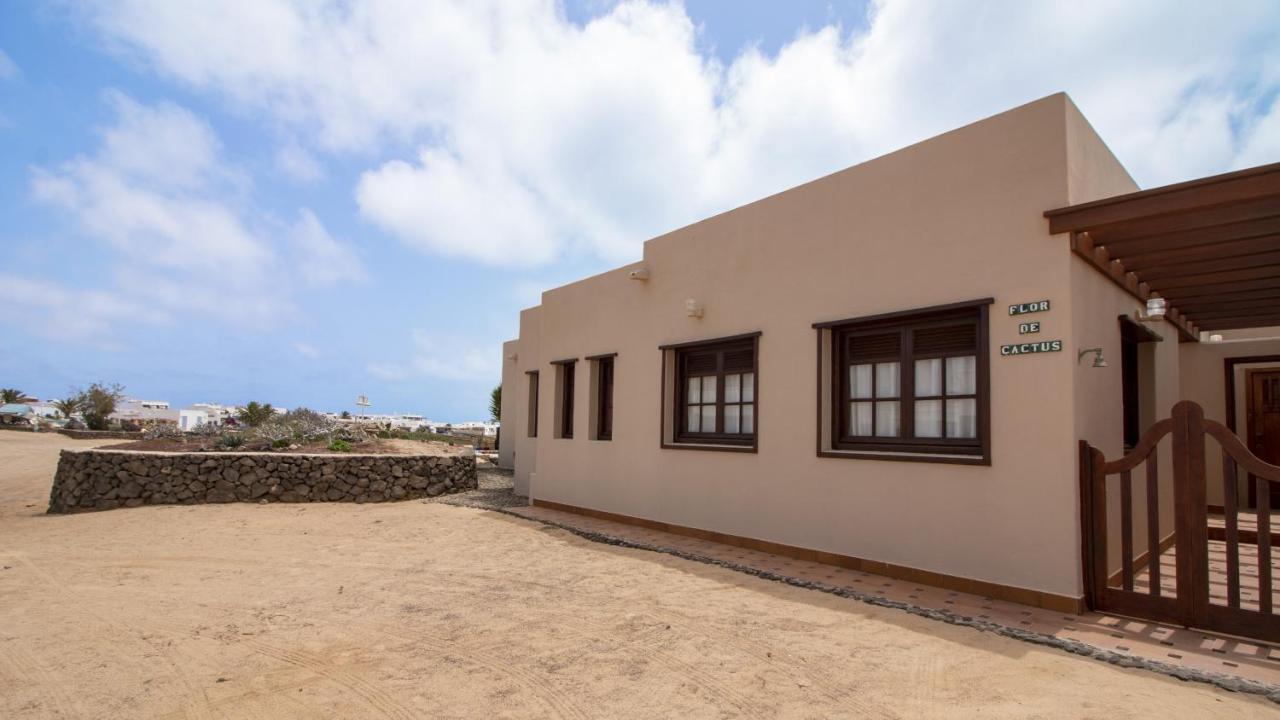 Flor de Cactus, La Graciosa - Chambres d’hôtes Caleta de Sebo