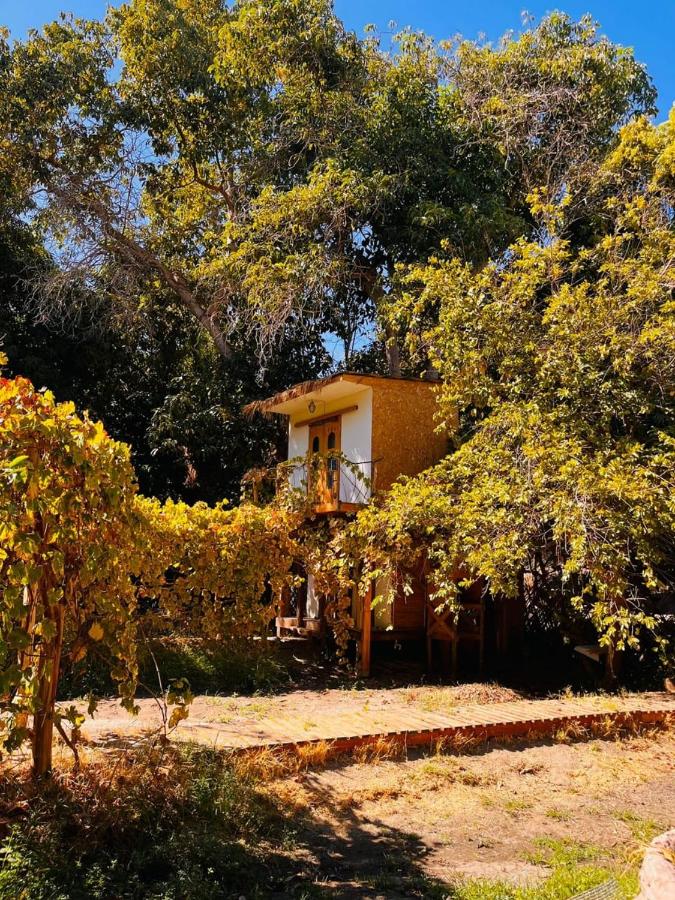 La Sacristía - Bed and Breakfast