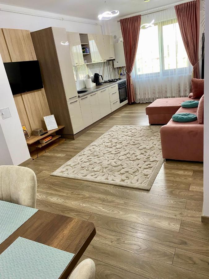 B&B Târgu Neamţ - Sofia Residence Apartments - Bed and Breakfast Târgu Neamţ