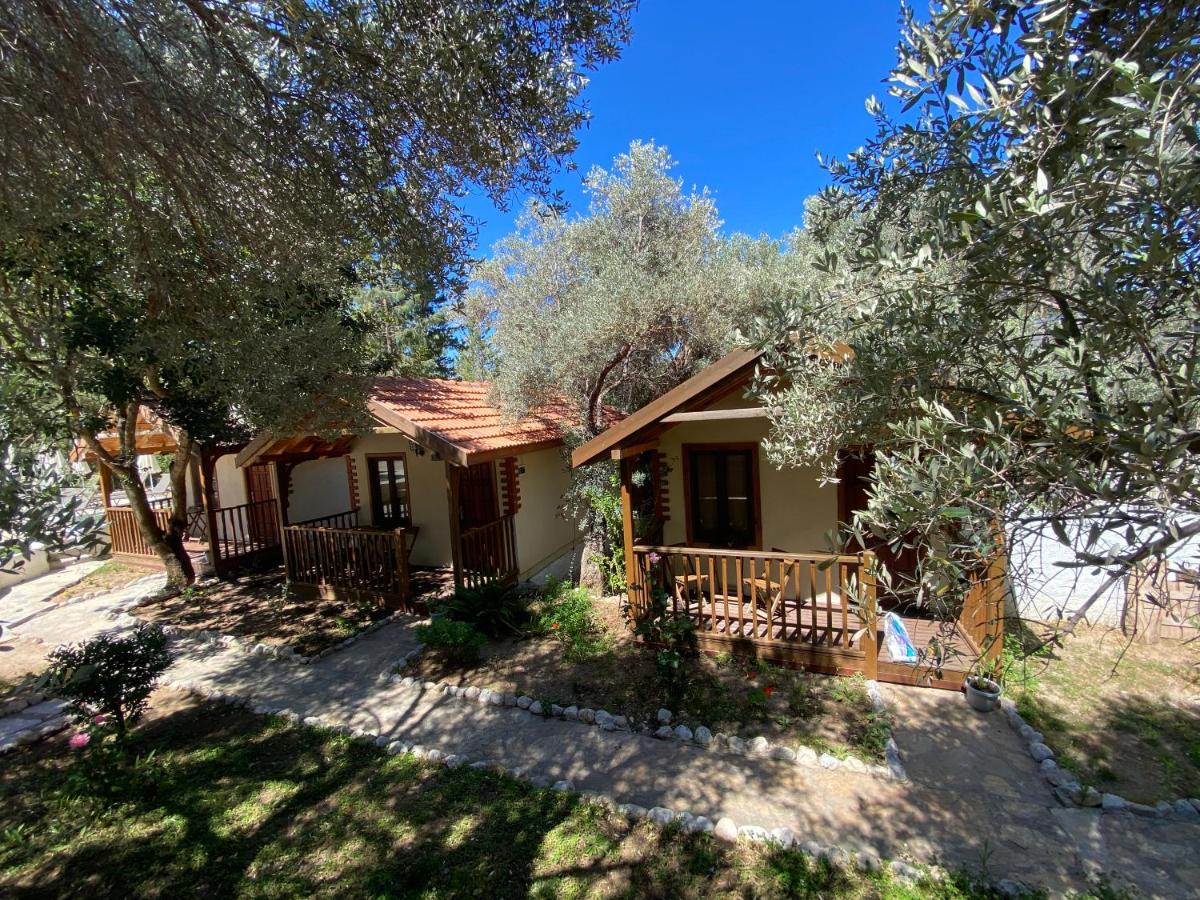KiDRAK OTEL MONTENEGRO-1 - B&B