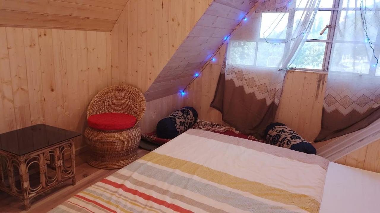 Cozy Nest Homestay - Ferienwohnung