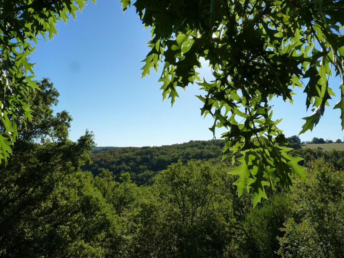 Vierbettzimmer mit Gartenblick