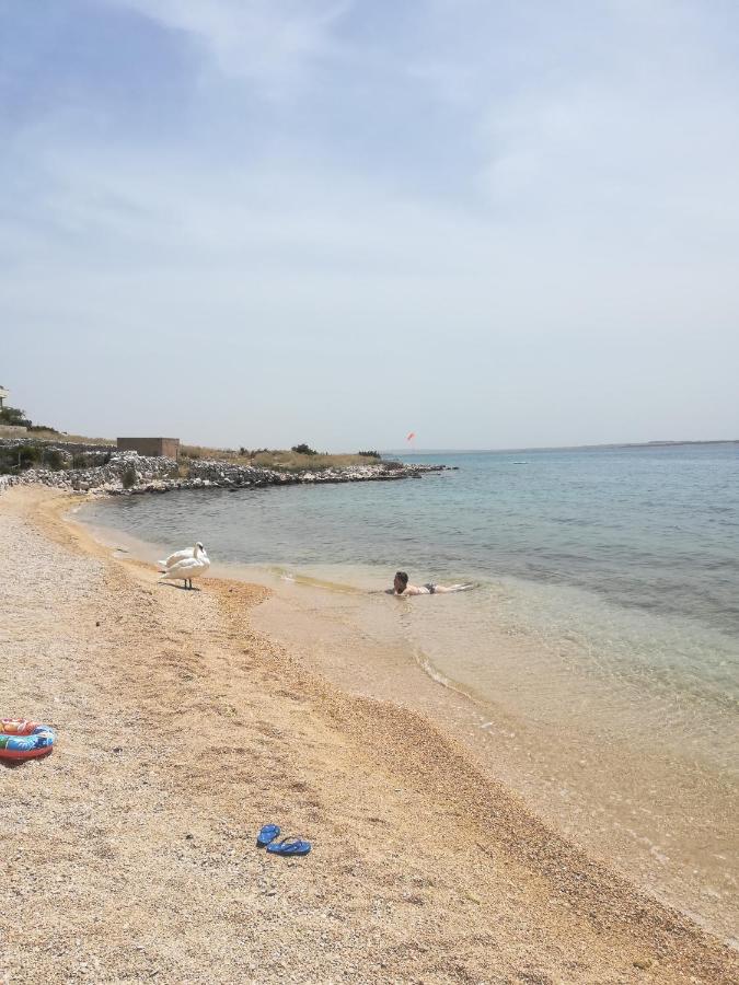 Apartmani Matošević, Pag-Košljun - Chambres d’hôtes Pag