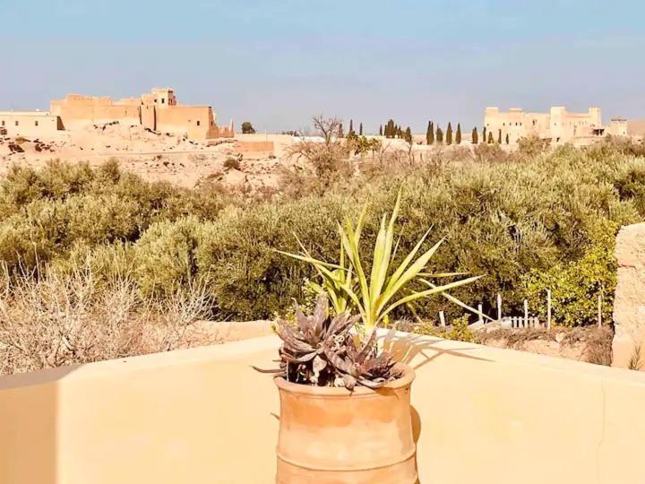 Superbe Villa piscine chauffée bali Marrakech - B&B