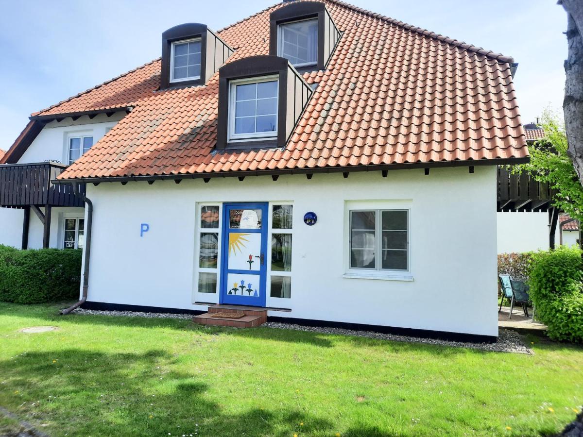 Kormoran Dünensommer - B&B