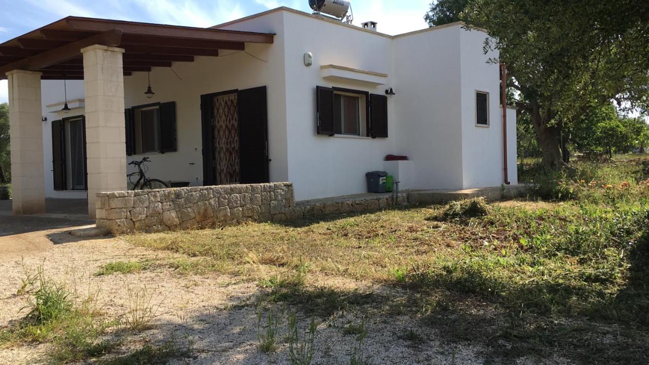 Casa tra ulivi e mandorli - B&B San Vito dei Normanni