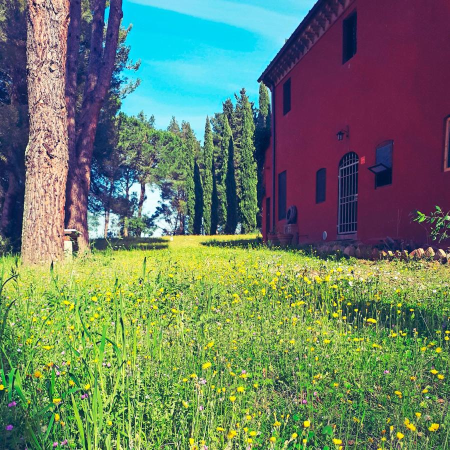 CASA DIVINA B&B TOSCANA YOGA NATURA Plant Based - B&B