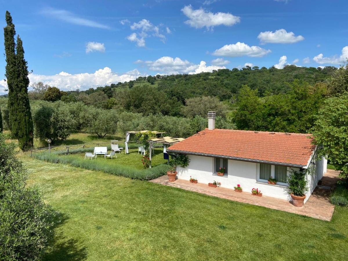 Tenuta Le Mandorlaie, Agriturismo in Scansano - Chambres d’hôtes