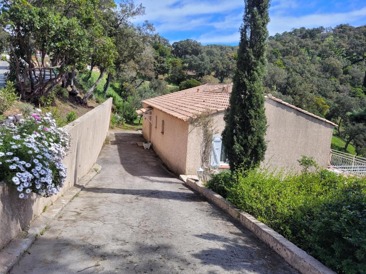 Villa Sarazine - B&B