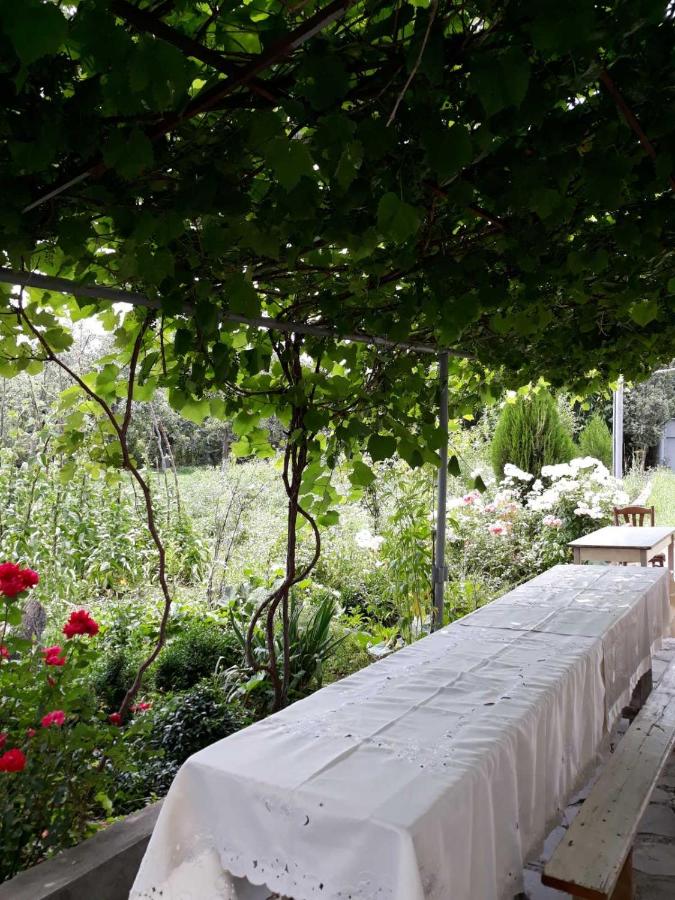 Sochiner guesthouse - B&B