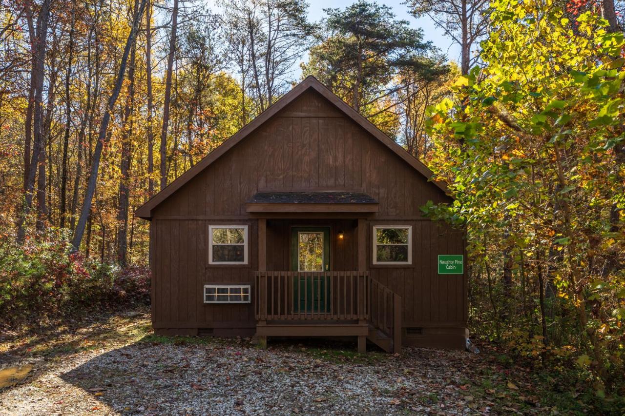 Blue Rose Cabins - Naughty Pine Cabin - B&B