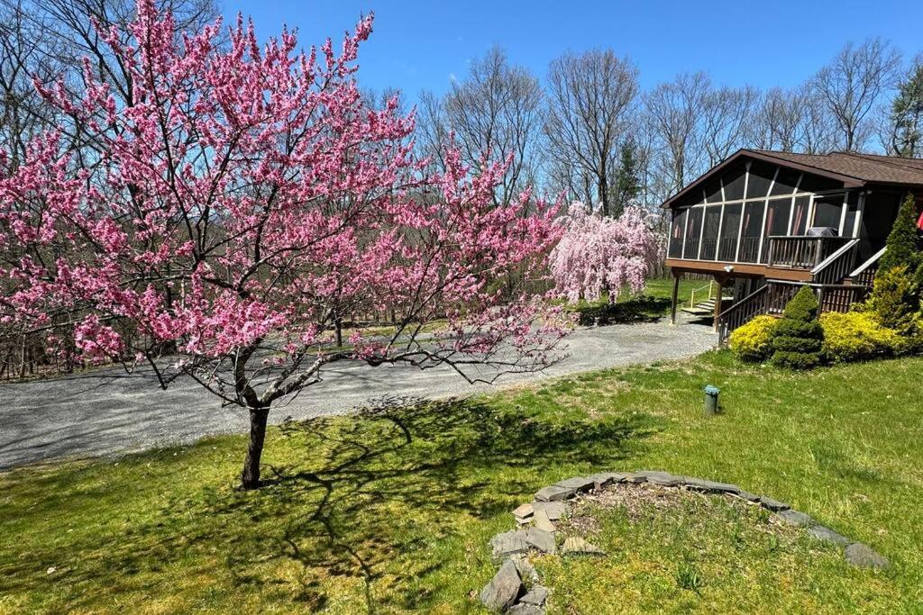 Woodland Whimsy a private escape, hot tub, pool, sunroom - Ferienwohnung Saugerties