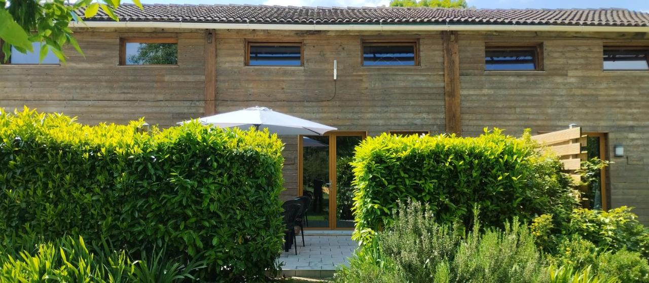 Buddleia - B&B