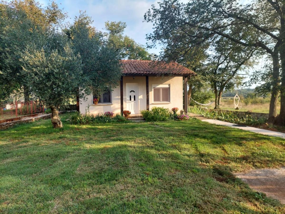 Apartment Marijana - B&B Murine