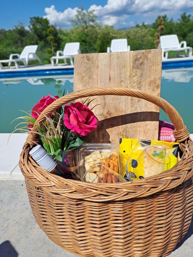 Mountain villa, pool, nature "The captain's villa" - Bed and Breakfast Skopje