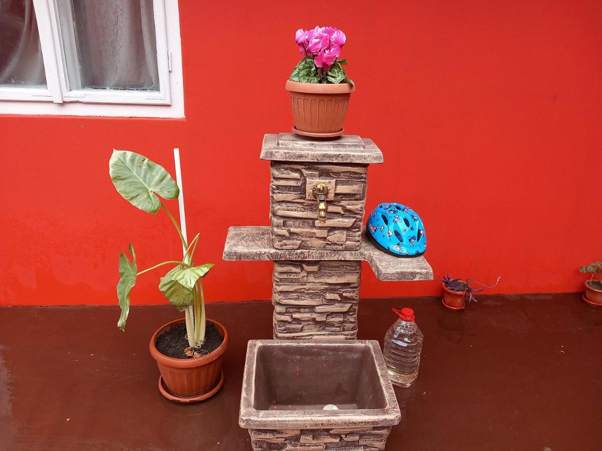 casa de vacanta - B&B