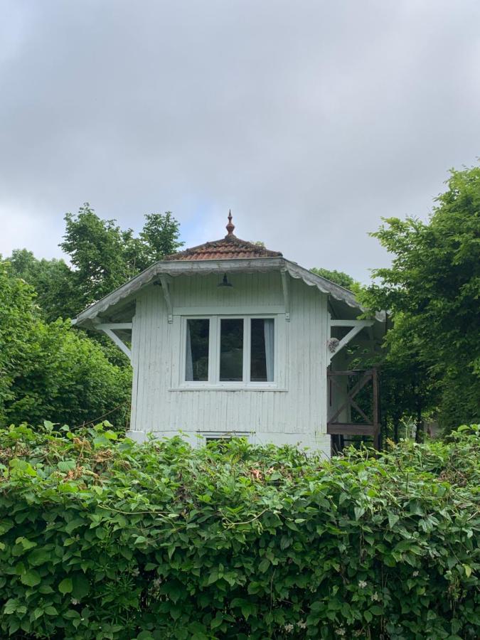 Escapade Romantique en Chalet Nature, Calme et Douceur au Bord de Marne - B&B
