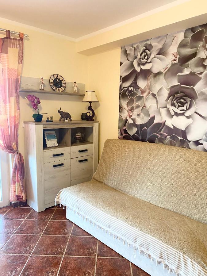 Appartement 1 Chambre