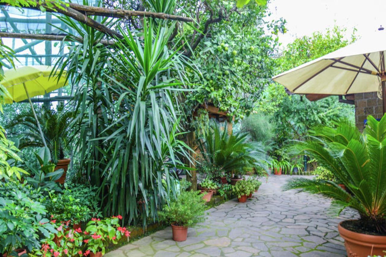 Cosy Apartment in Sorrento – 35 m² with Sea View - B&B