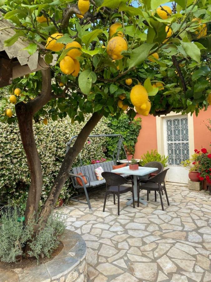 B&B Skarpári - Lori House in Corfu. Feel like your home - Bed and Breakfast Skarpári