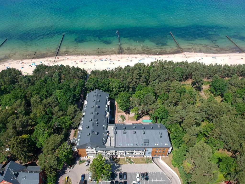 Dwie Sosny i Świerk 2 - B&B