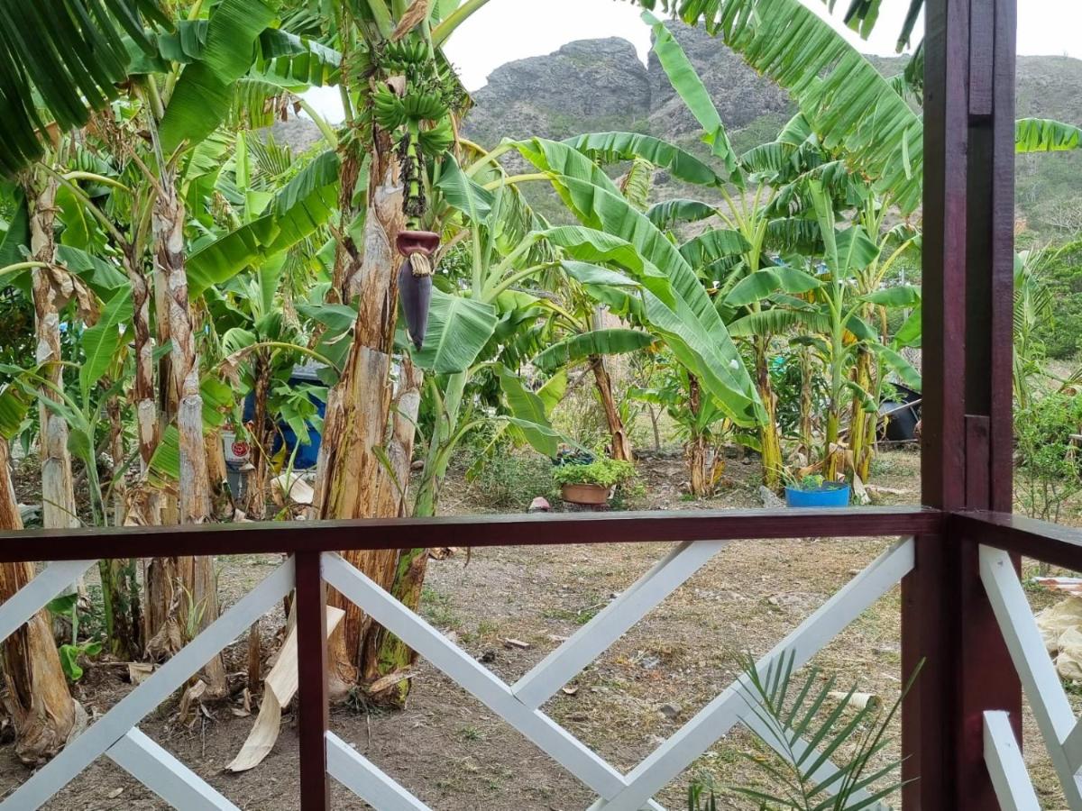 Nature View - B&B Providencia