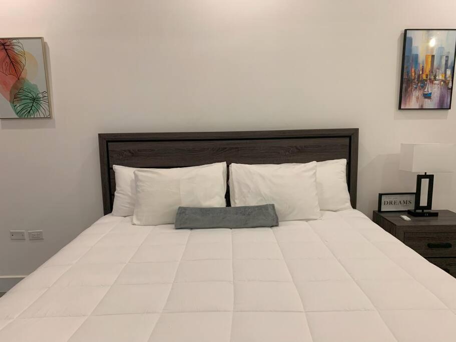 Taryn Suite 2BR Apt in Kingston - B&B Kingston