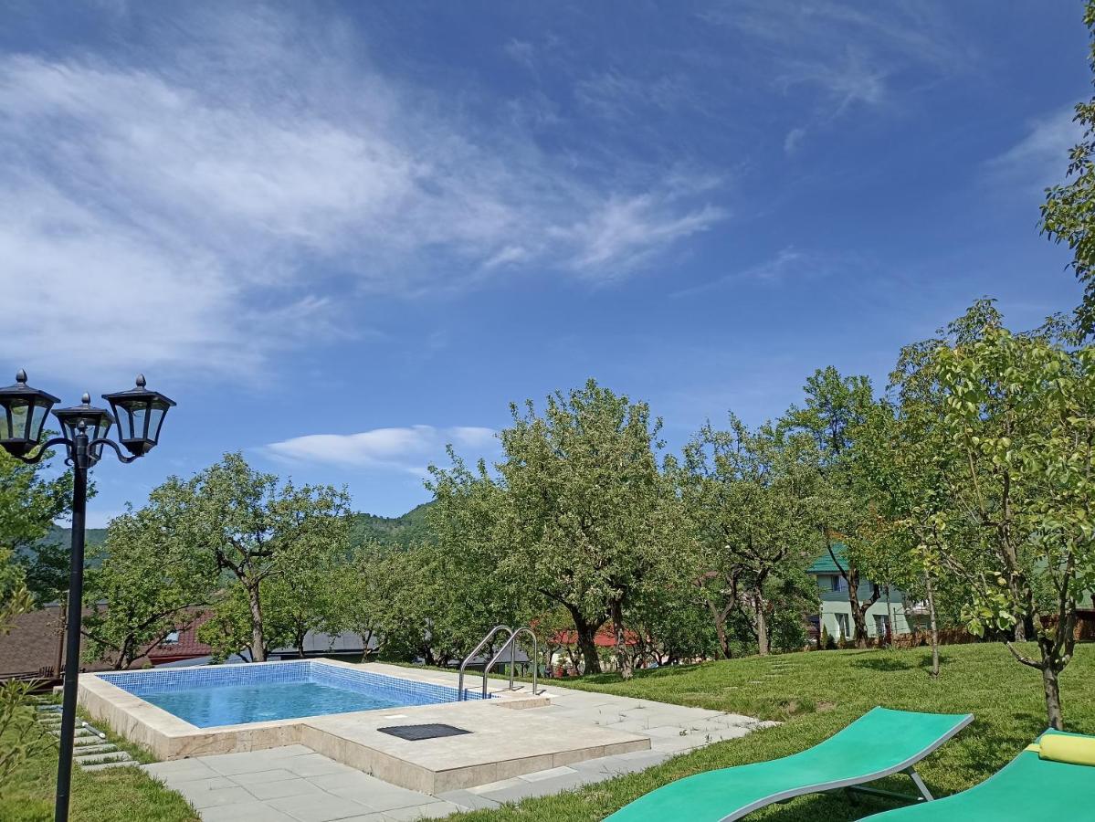 B&B Baia Sprie - Pension Verde - Bed and Breakfast Baia Sprie