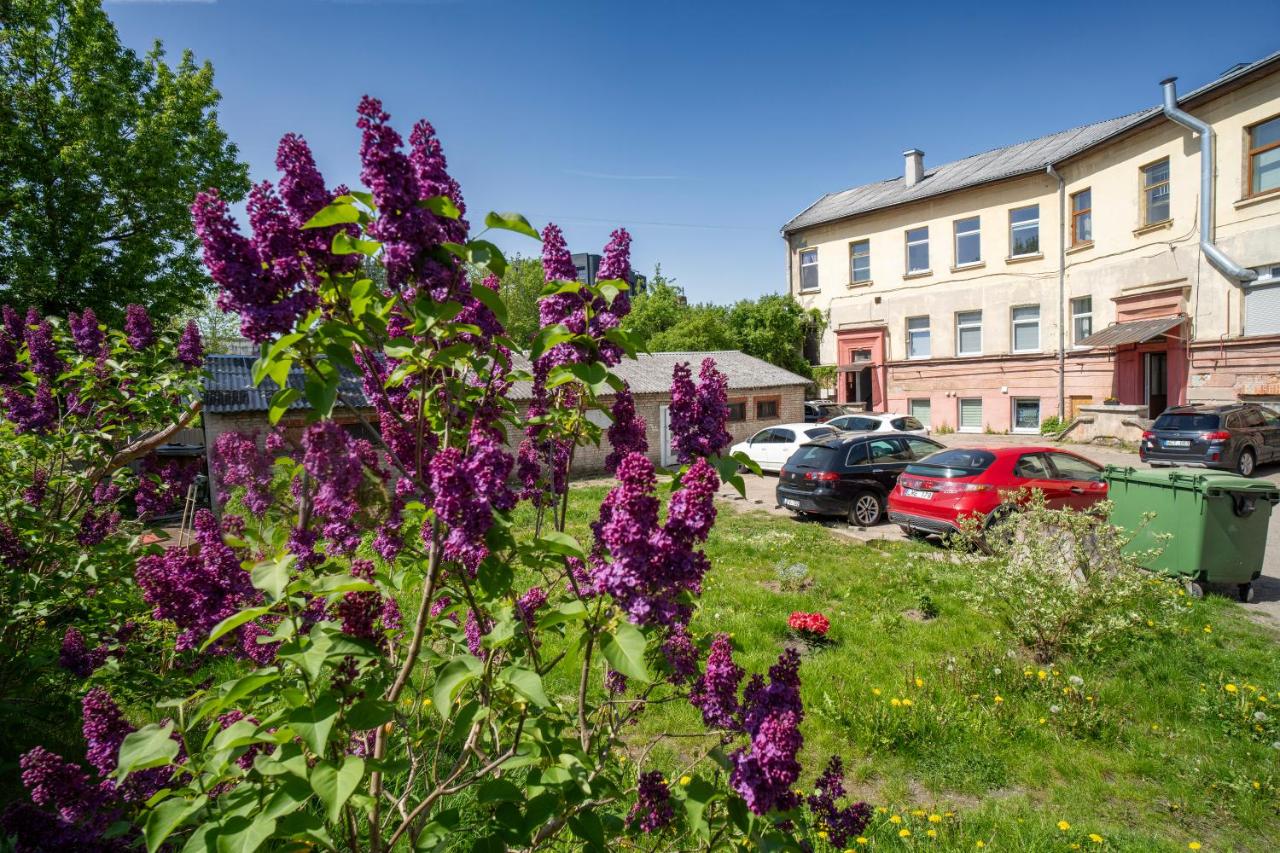 Cozy Loft next to Main Station - B&B Kaunas